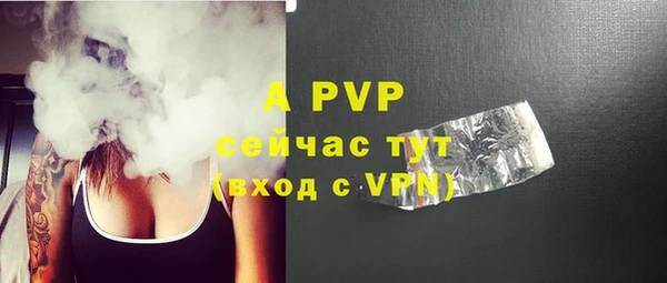 молекула духа Арсеньев
