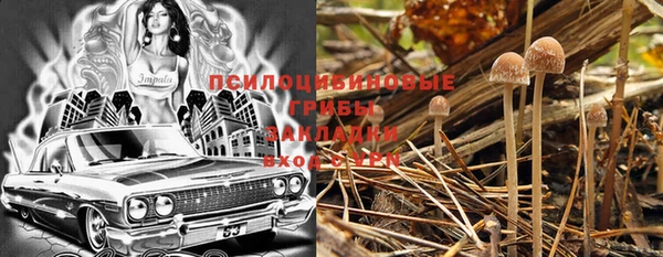 гашик Аркадак