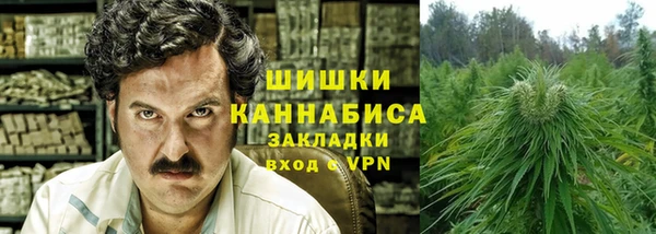 гашик Аркадак