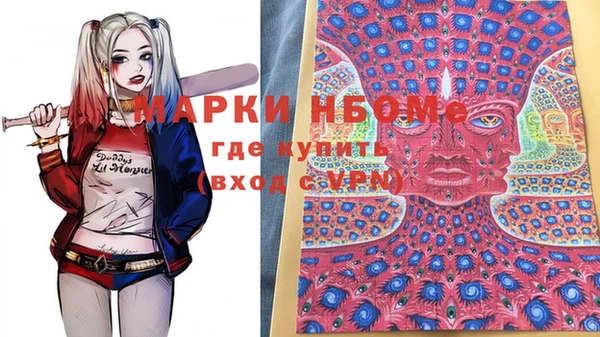 молекула духа Арсеньев