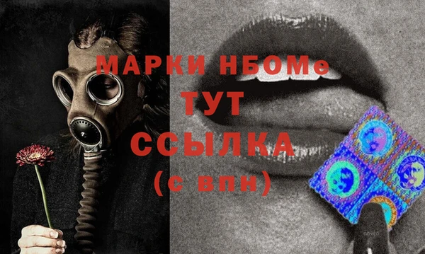 молекула духа Арсеньев