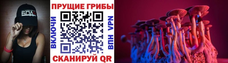 Галлюциногенные грибы MAGIC MUSHROOMS Бодайбо
